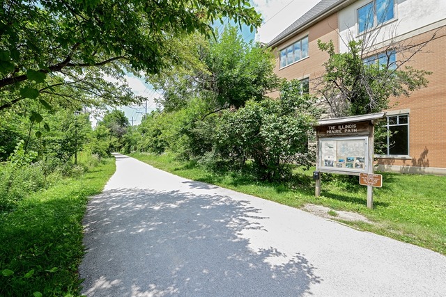 310 South Main Street, Unit 208 Lombard, IL 60148 - Photo 15 of 15 a view of a house with a yard and large tree