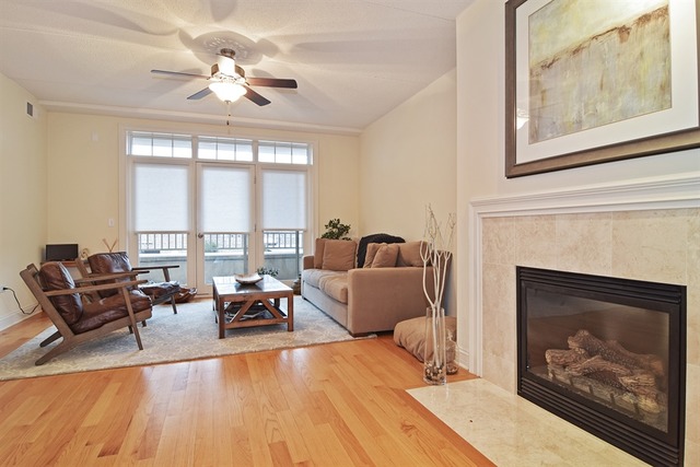 310 South Main Street, Unit 208 Lombard, IL 60148 - Photo 3 of 15 a living room with furniture and a fireplace