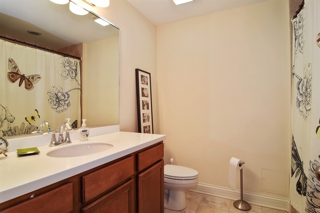 310 South Main Street, Unit 208 Lombard, IL 60148 - Photo 6 of 15 a bathroom with a sink a toilet and a mirror