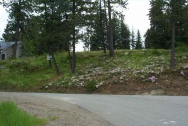 272 Knott Road Newport, WA 99156 - Photo 2 of 9 Gallery Image 2