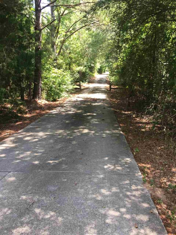 503 Horseshoe Road Honea Path, SC 29654 - Photo 3 of 30 Gallery Image 3