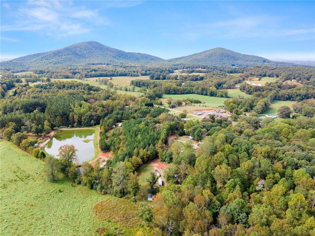 99 Rocket Drive Cleveland, GA 30528 - Photo 11 of 12 a view of a lush green field with mountains in the background