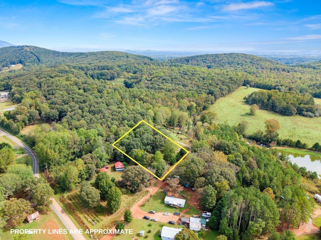 99 Rocket Drive Cleveland, GA 30528 - Photo 12 of 12 an aerial view of a residential houses covered in trees