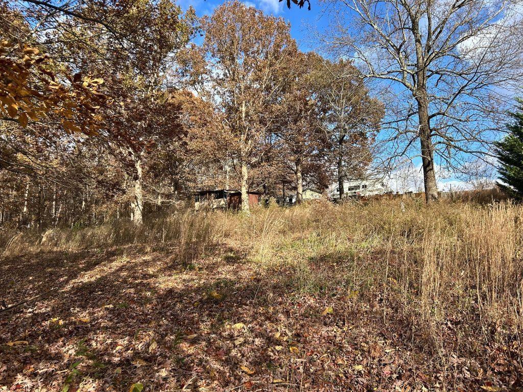 99 Rocket Drive Cleveland, GA 30528 - Photo 8 of 12 a view of yard covered with snow