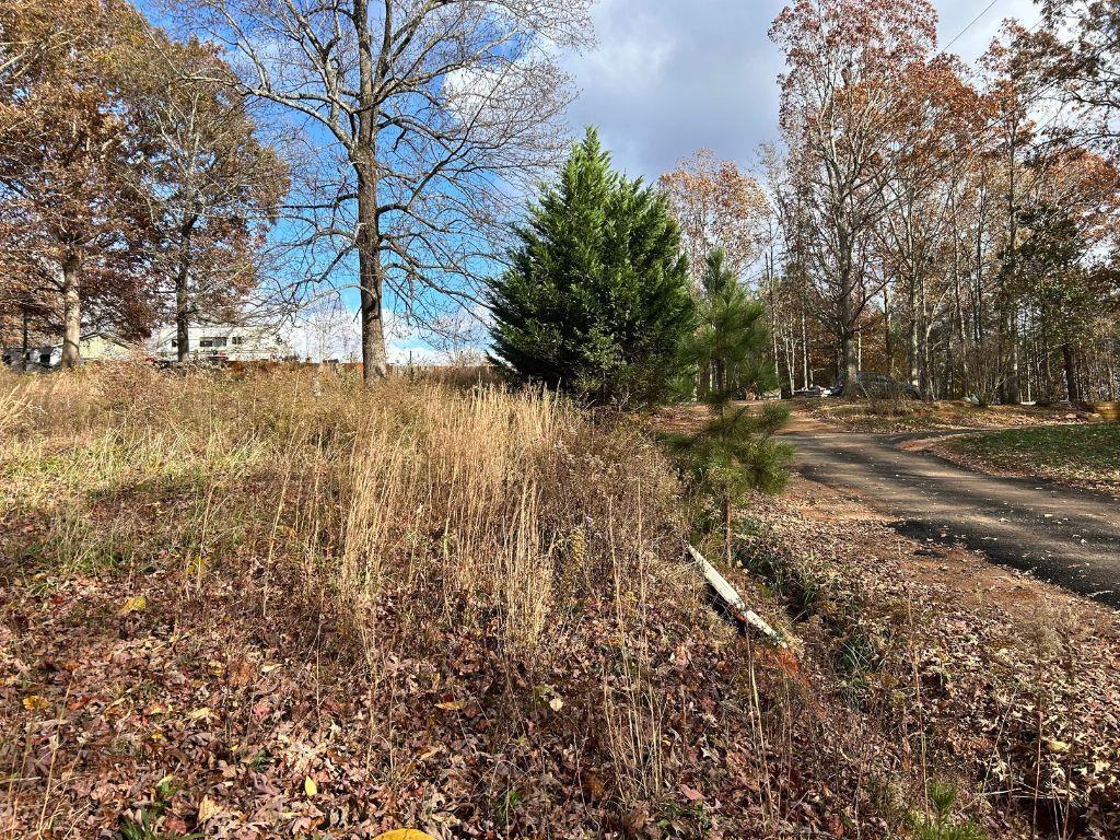 99 Rocket Drive Cleveland, GA 30528 - Photo 9 of 12 a view of backyard of a house