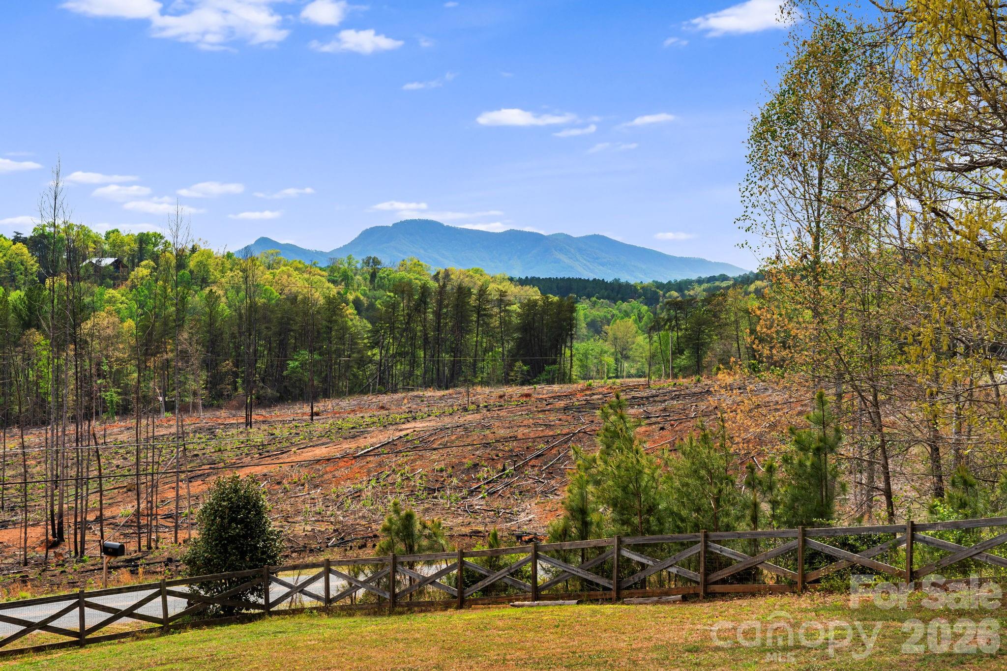 2011 Edgerton Road Mill Spring, NC 28756 - Photo 4 of 31