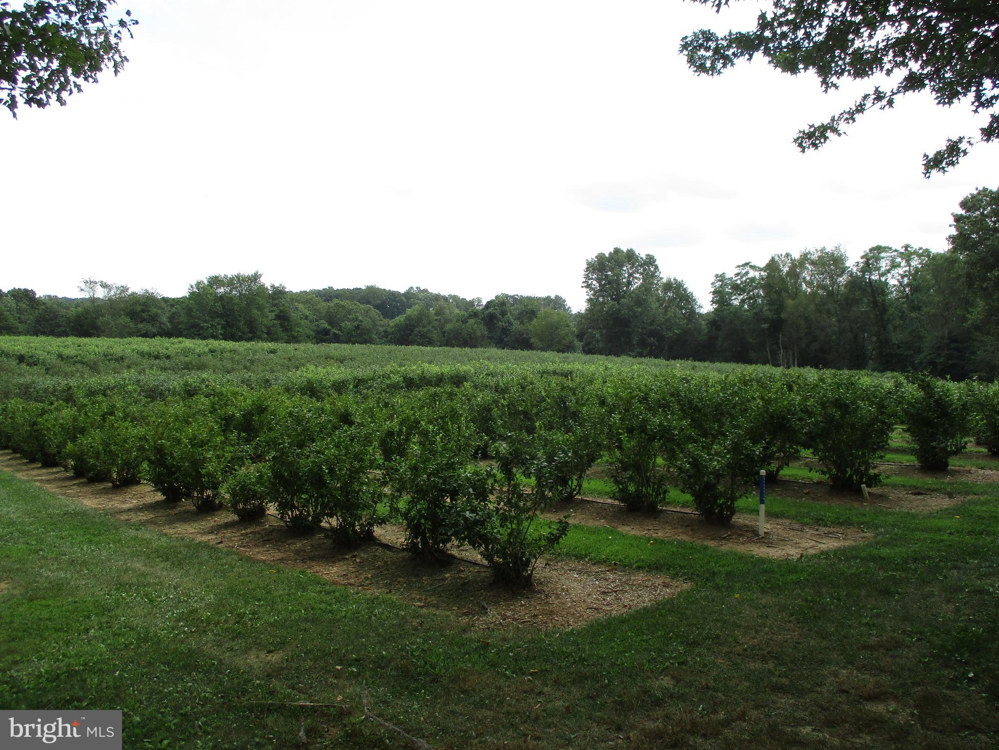 571 Heffner Road Red Lion, PA 17356 - Photo 18 of 18