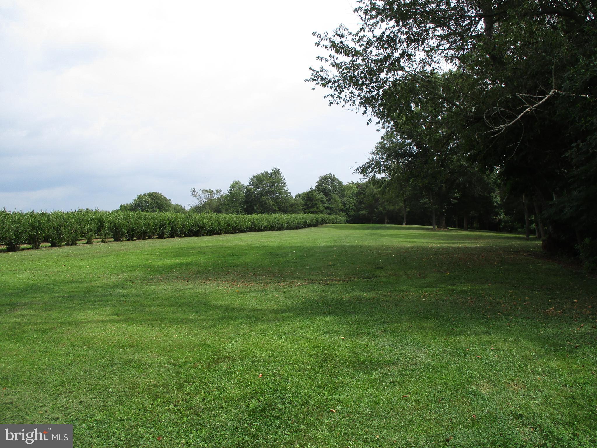 571 Heffner Road Red Lion, PA 17356 - Photo 7 of 18