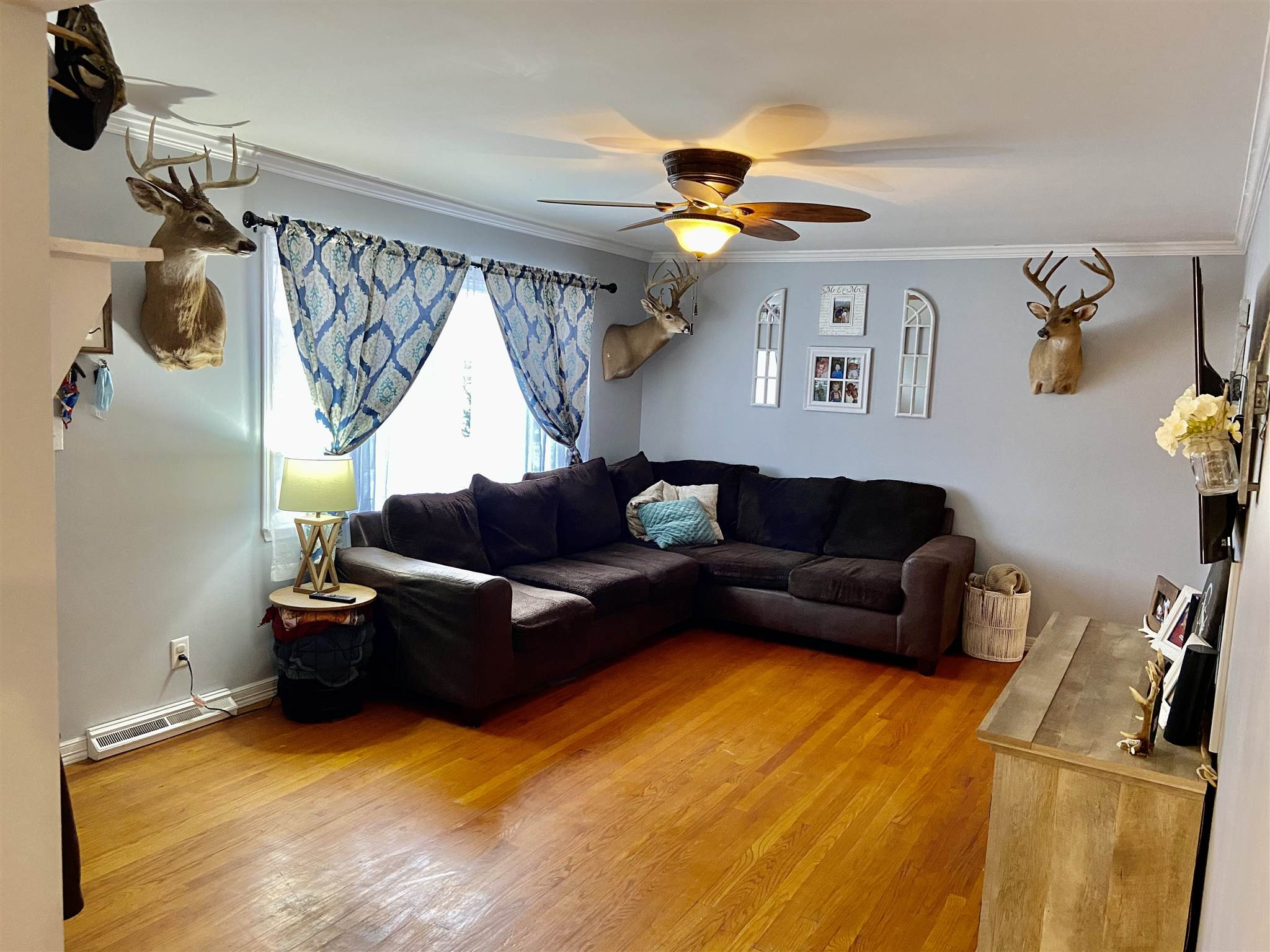 4950 Lemon Northcutt Road Dry Ridge, KY 41035 - Photo 2 of 26 Gallery Image 2