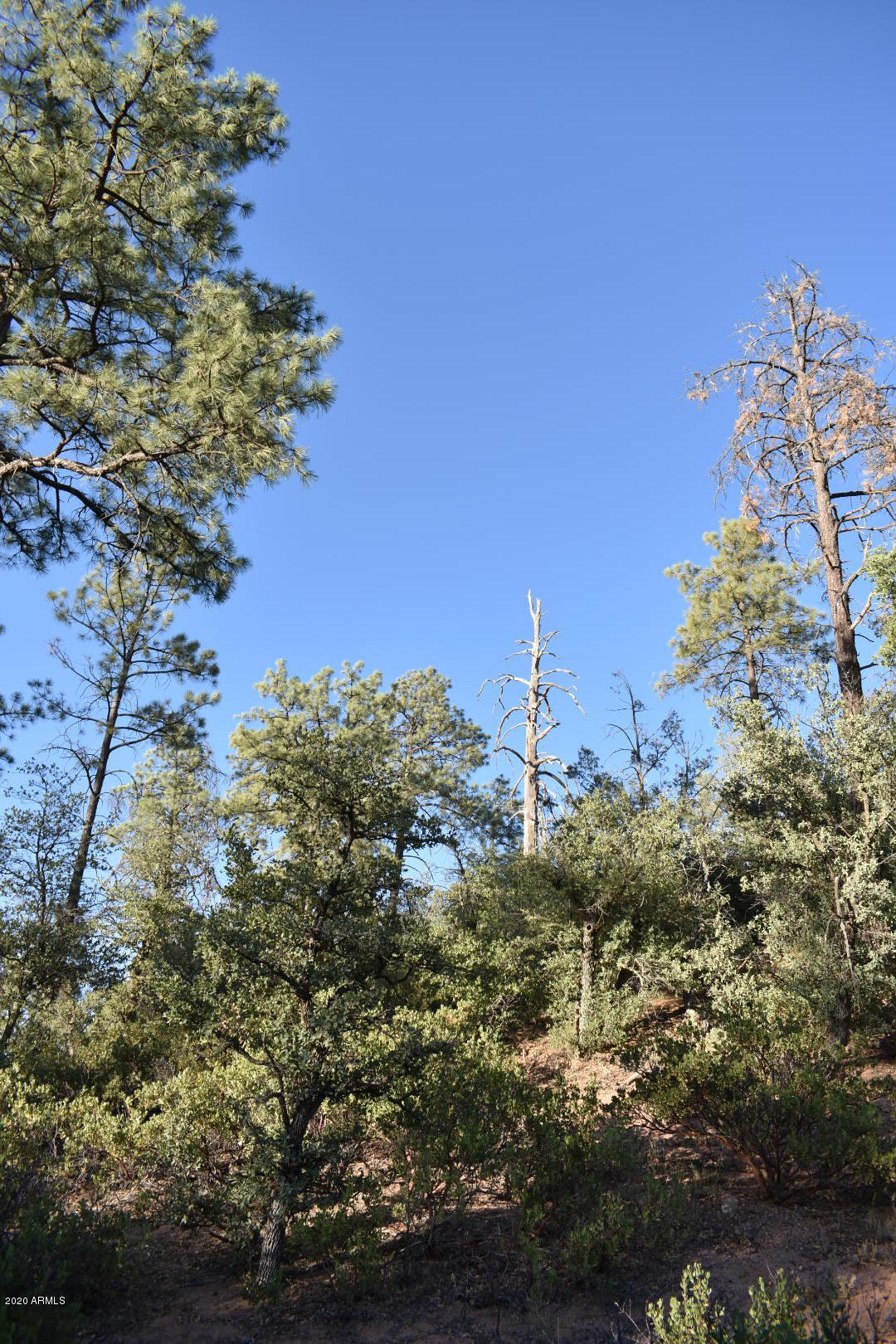 701 South Rim Club Parkway Road, Unit 328D Payson, AZ 85541 - Photo 11 of 20 DSC_0849