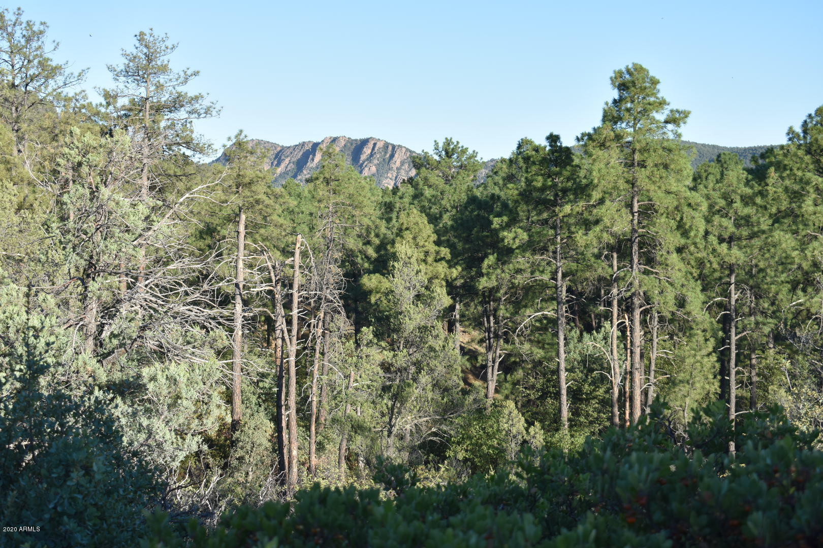 701 South Rim Club Parkway Road, Unit 328D Payson, AZ 85541 - Photo 12 of 20 DSC_0850_1