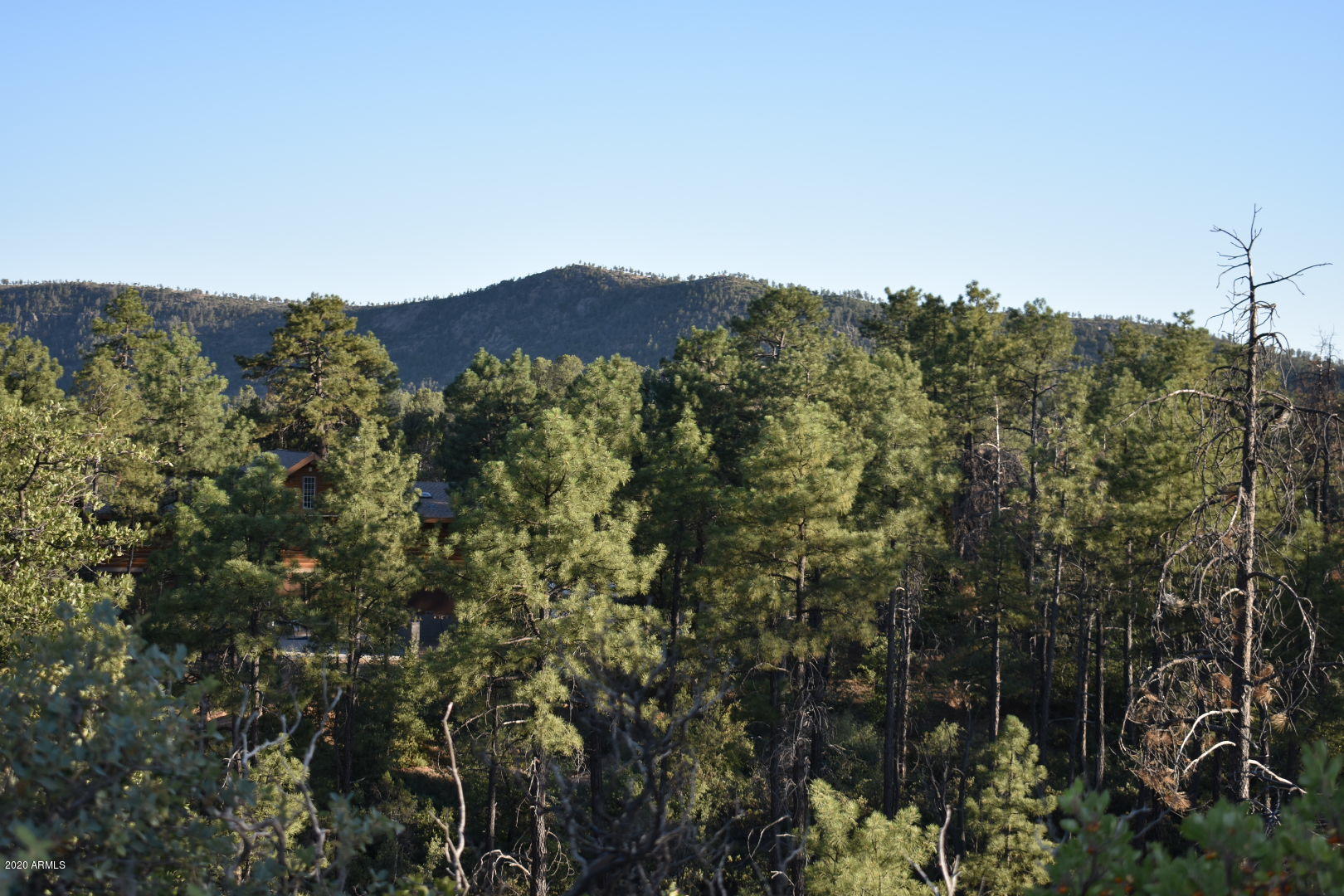 701 South Rim Club Parkway Road, Unit 328D Payson, AZ 85541 - Photo 13 of 20 DSC_0851