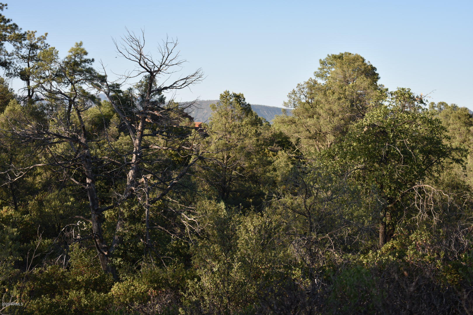 701 South Rim Club Parkway Road, Unit 328D Payson, AZ 85541 - Photo 14 of 20 DSC_0852_1