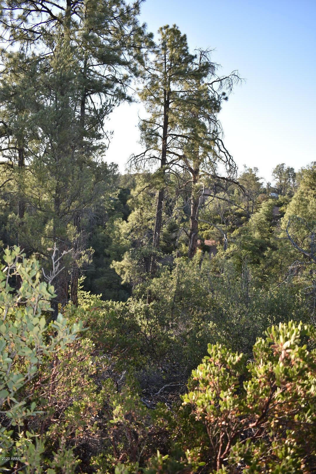 701 South Rim Club Parkway Road, Unit 328D Payson, AZ 85541 - Photo 15 of 20 DSC_0853_1
