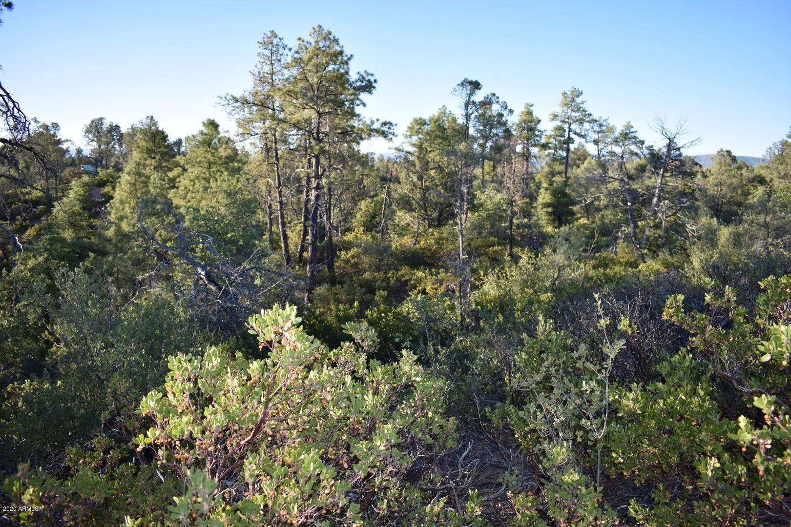 701 South Rim Club Parkway Road, Unit 328D Payson, AZ 85541 - Photo 16 of 20 DSC_0854_1