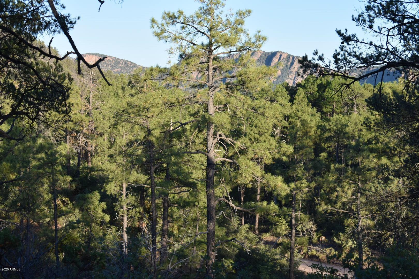 701 South Rim Club Parkway Road, Unit 328D Payson, AZ 85541 - Photo 17 of 20 DSC_0857_1