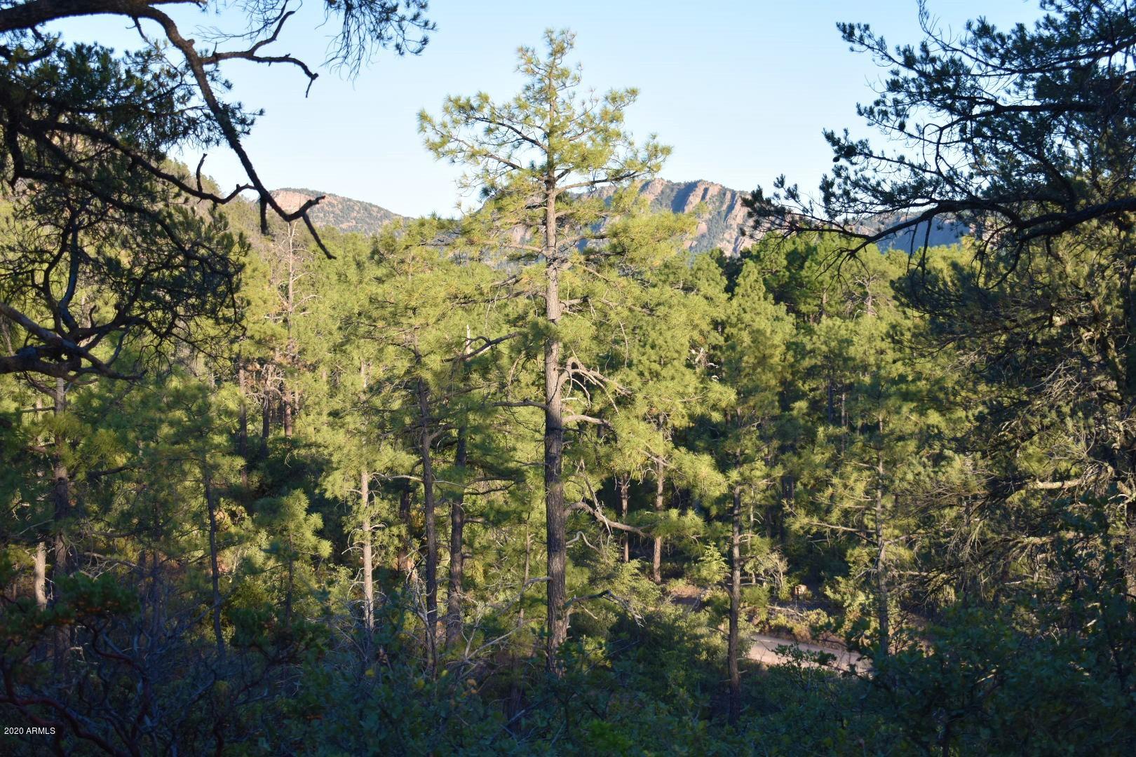 701 South Rim Club Parkway Road, Unit 328D Payson, AZ 85541 - Photo 18 of 20 DSC_0858_1