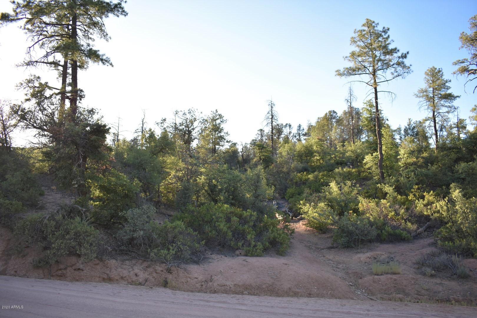 POSSIBLE ENTRANCE TO PROPERTY
