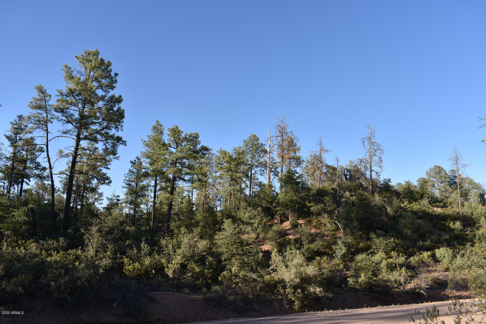 701 South Rim Club Parkway Road, Unit 328D Payson, AZ 85541 - Photo 8 of 20 DSC_0846_1