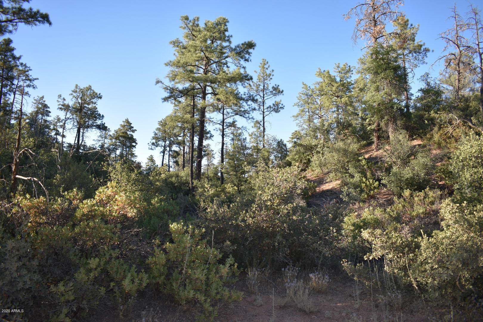 701 South Rim Club Parkway Road, Unit 328D Payson, AZ 85541 - Photo 9 of 20 DSC_0847