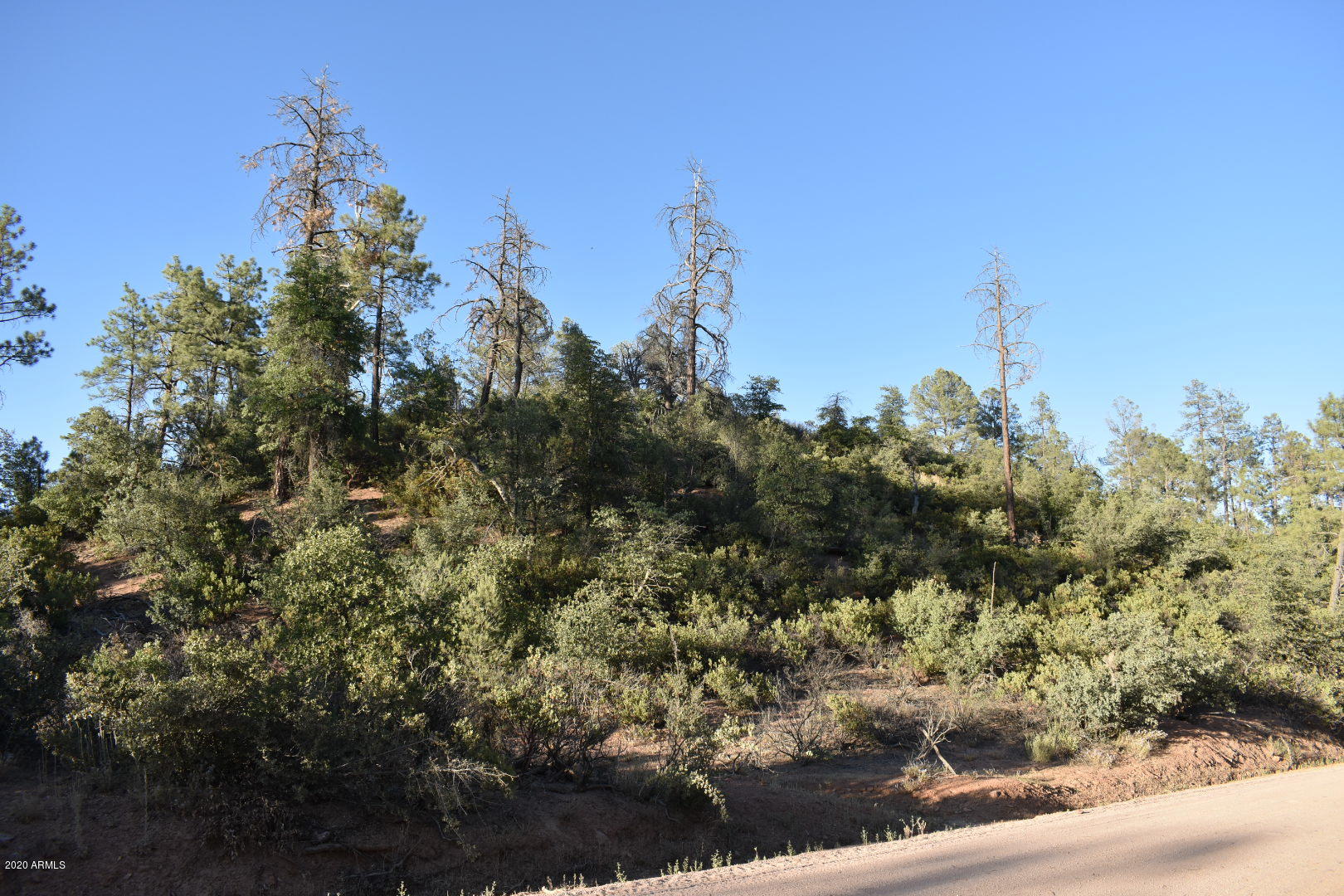 701 South Rim Club Parkway Road, Unit 328D Payson, AZ 85541 - Photo 10 of 20 DSC_0848