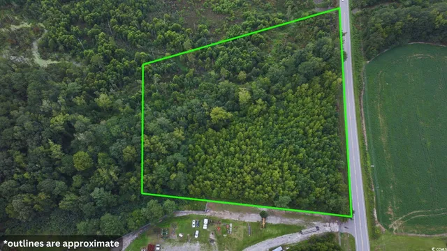 $36,997 | 0 Highway 521 Greeleyville Sc 29056, Greeleyville, SC 29056