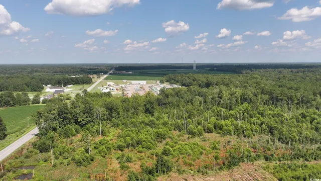 $36,997 | 0 Highway 521 Greeleyville Sc 29056, Greeleyville, SC 29056