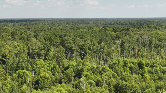 $36,997 | 0 Highway 521 Greeleyville Sc 29056, Greeleyville, SC 29056