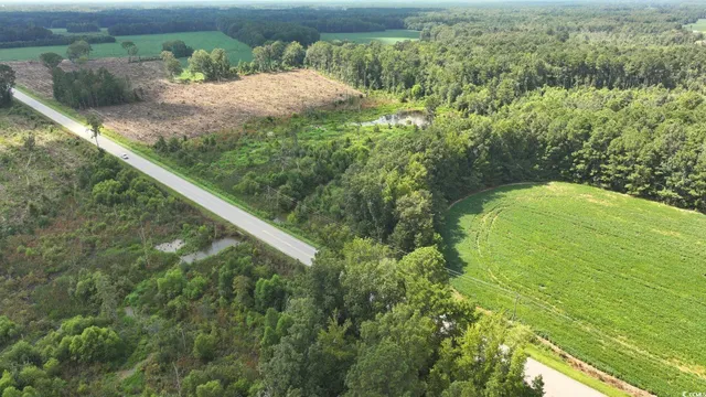 $36,997 | 0 Highway 521 Greeleyville Sc 29056, Greeleyville, SC 29056