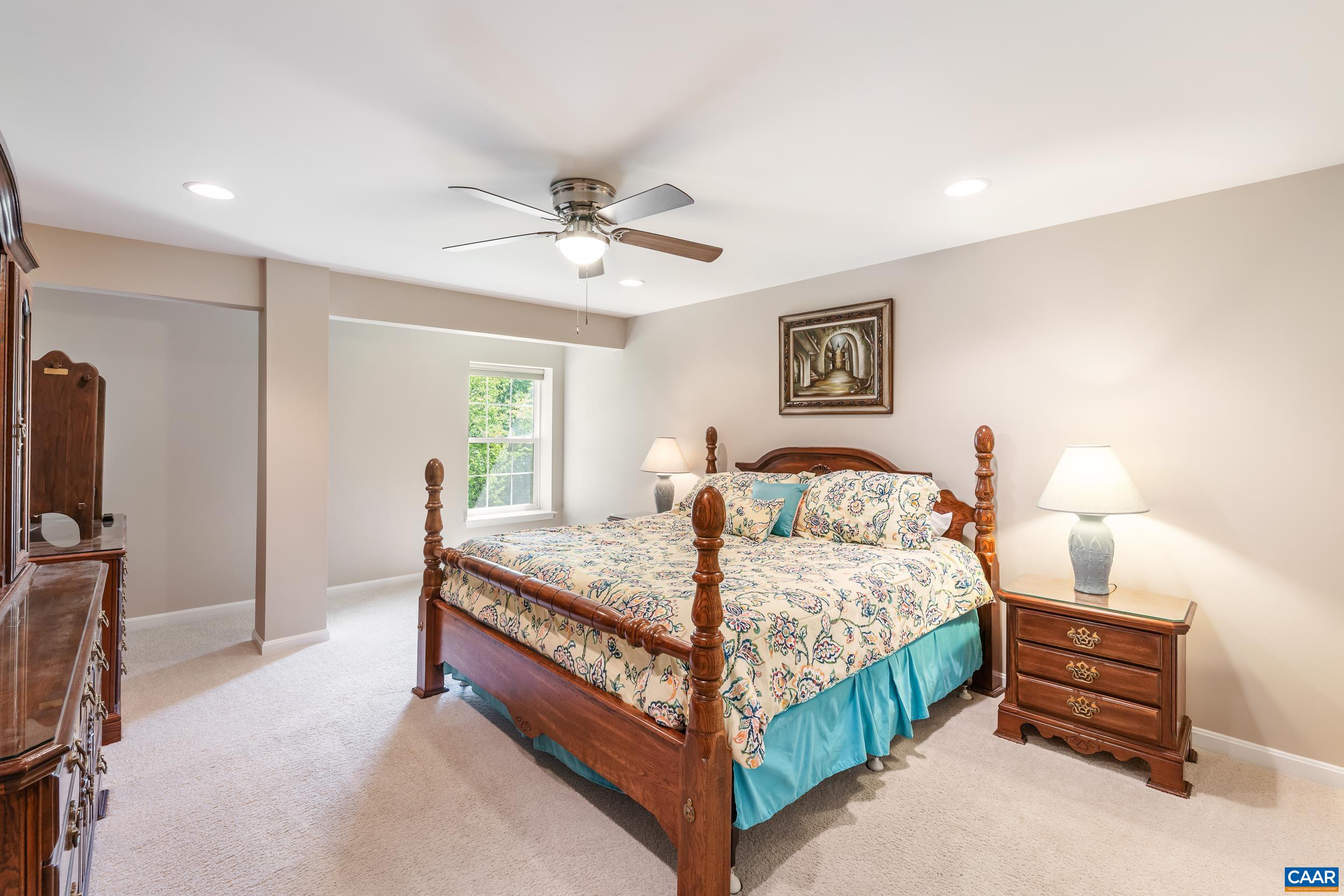 329 John Rucker Drive Ruckersville, VA 22968 - Photo 48 of 75 Basement Bedroom