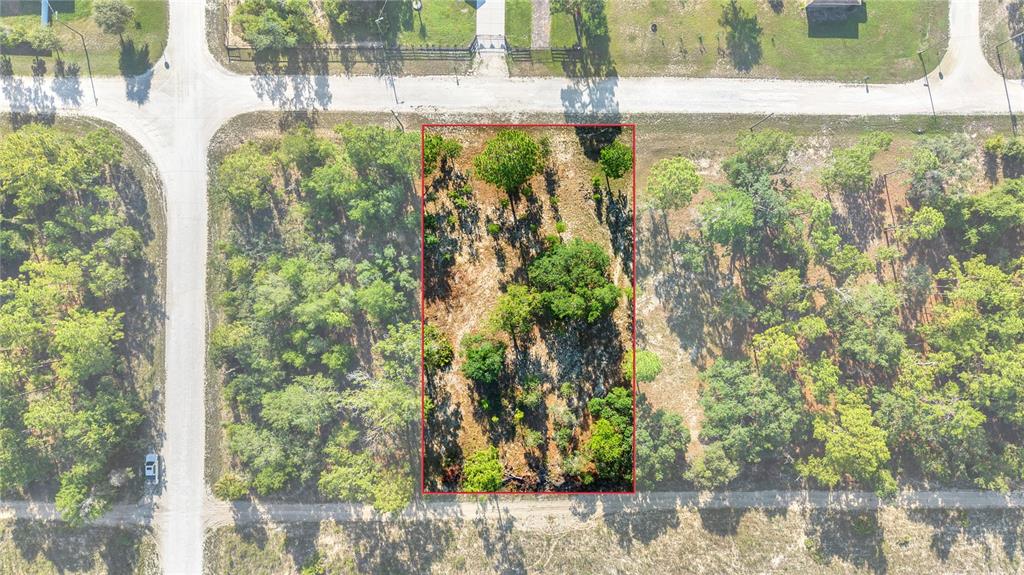 0 Condor Road Brooksville, FL 34614 - Photo 8 of 19