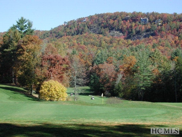 84-25 Emerald Ridge Road, Unit 25 Sapphire, NC 28774 - Photo 26 of 29 Gallery Image 26