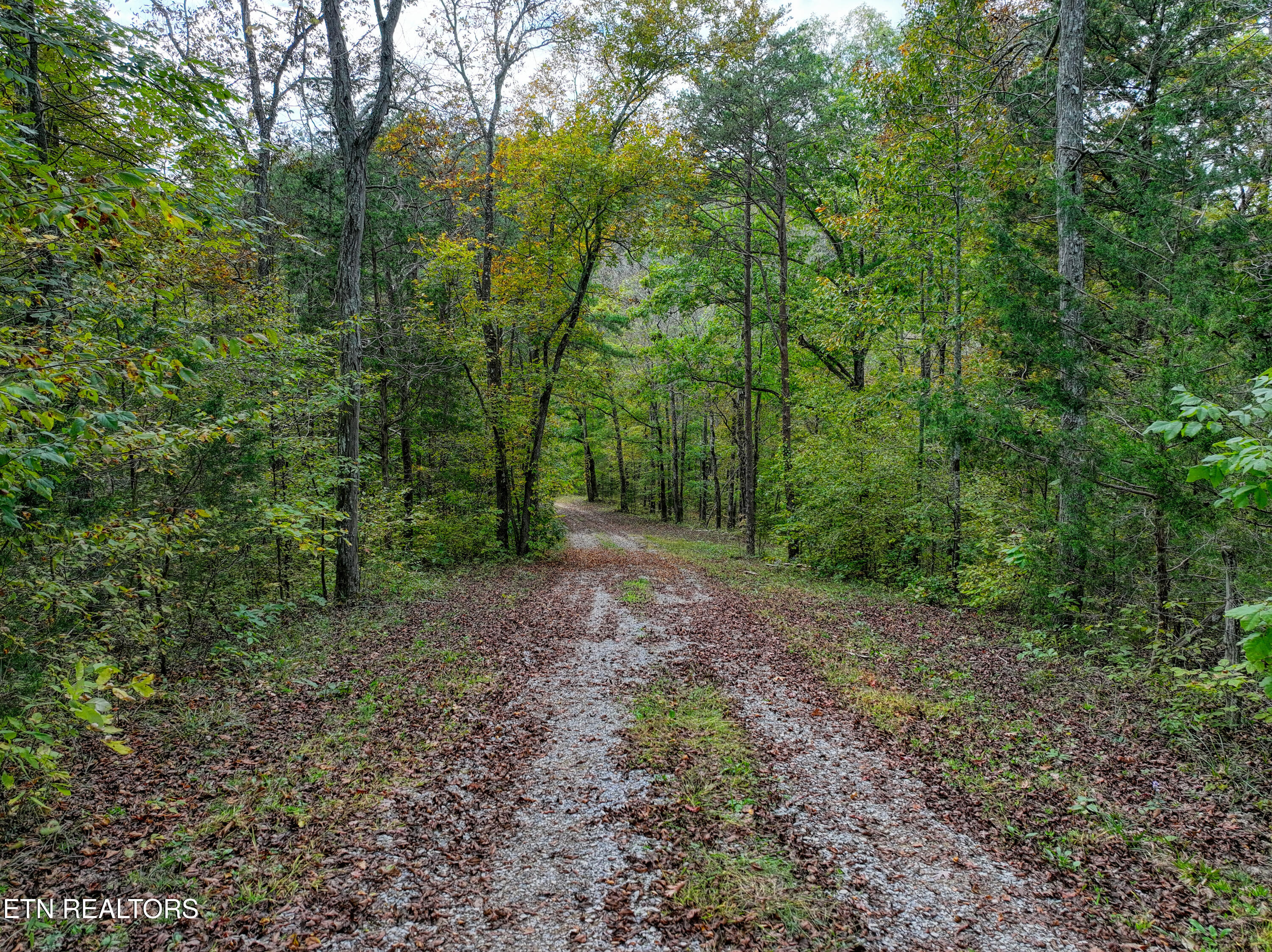 2521 Audley Moore Road Sevierville, TN 37876 - Photo 25 of 25 DJI_20251009141042_0935_D_65