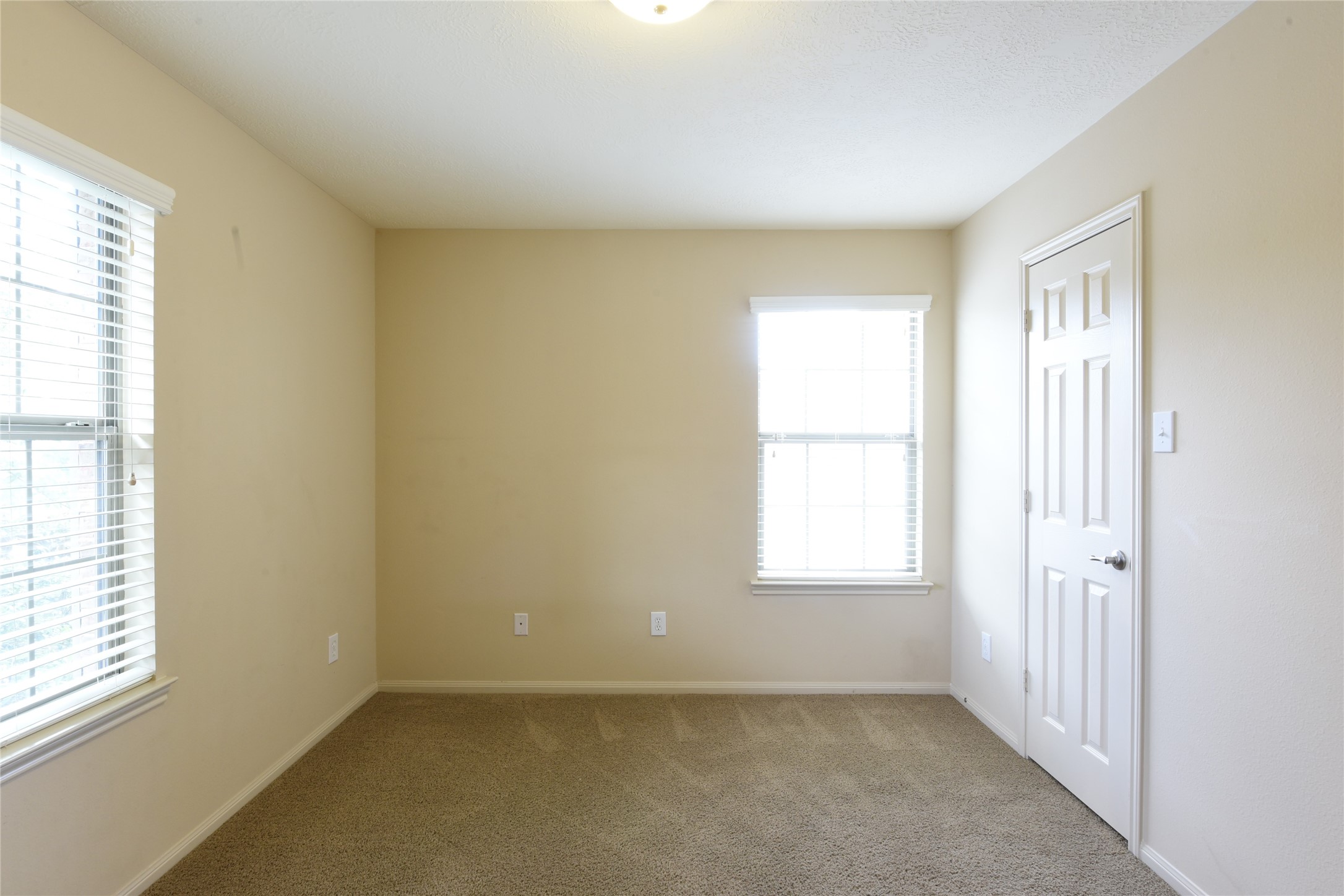 118 East Lasting Spring Circle Spring, TX 77389 - Photo 33 of 46 Bright and cozy room with soft carpeting, neutral walls, and ample natural light from two windows, perfect for a bedroom or home office.