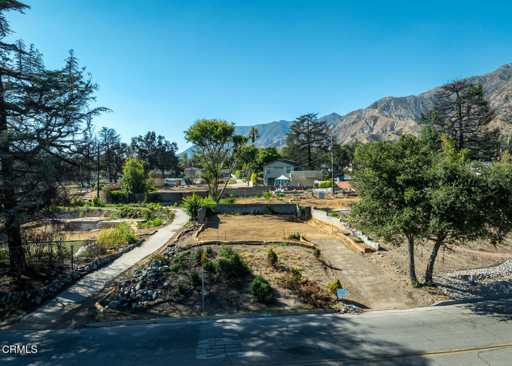 1077 East Palm Street Altadena, CA 91001 - Photo 19 of 44 a view of a yard with cars parked