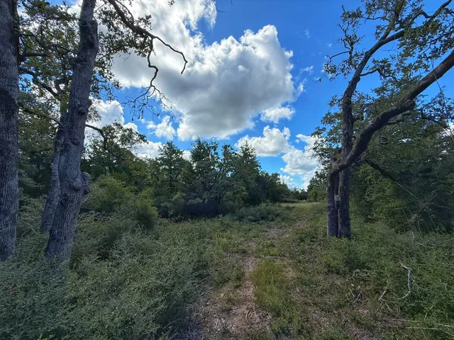 $82,500 | 3803 Pr 4100 Marquez Tx 77865, Marquez, TX 77865