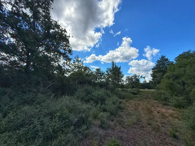 $82,500 | 3803 Pr 4100 Marquez Tx 77865, Marquez, TX 77865