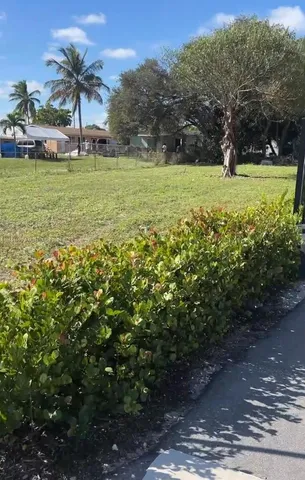 a view of a garden with a tree