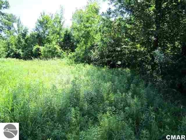 500 South Shepherd Road Mount Pleasant, MI 48858 - Photo 4 of 5 1867791-3.JPG