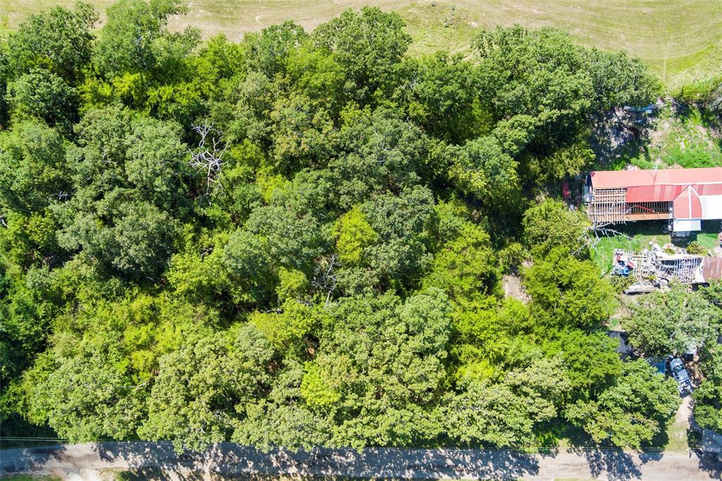 3333 County Road 3333 Emory, TX 75440 - Photo 12 of 22 view of a lush green forest with lots of trees