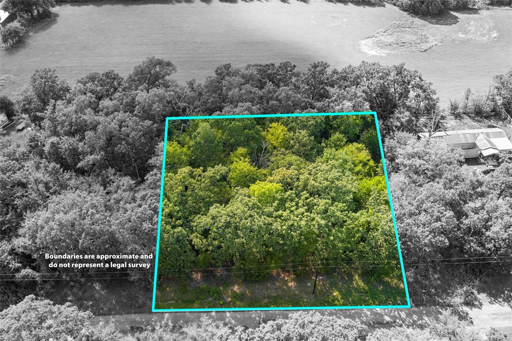 3333 County Road 3333 Emory, TX 75440 - Photo 2 of 22 a view of a garden with plants