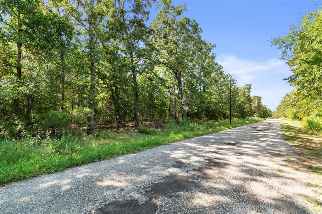 3333 County Road 3333 Emory, TX 75440 - Photo 7 of 22 a view of a street with a trees