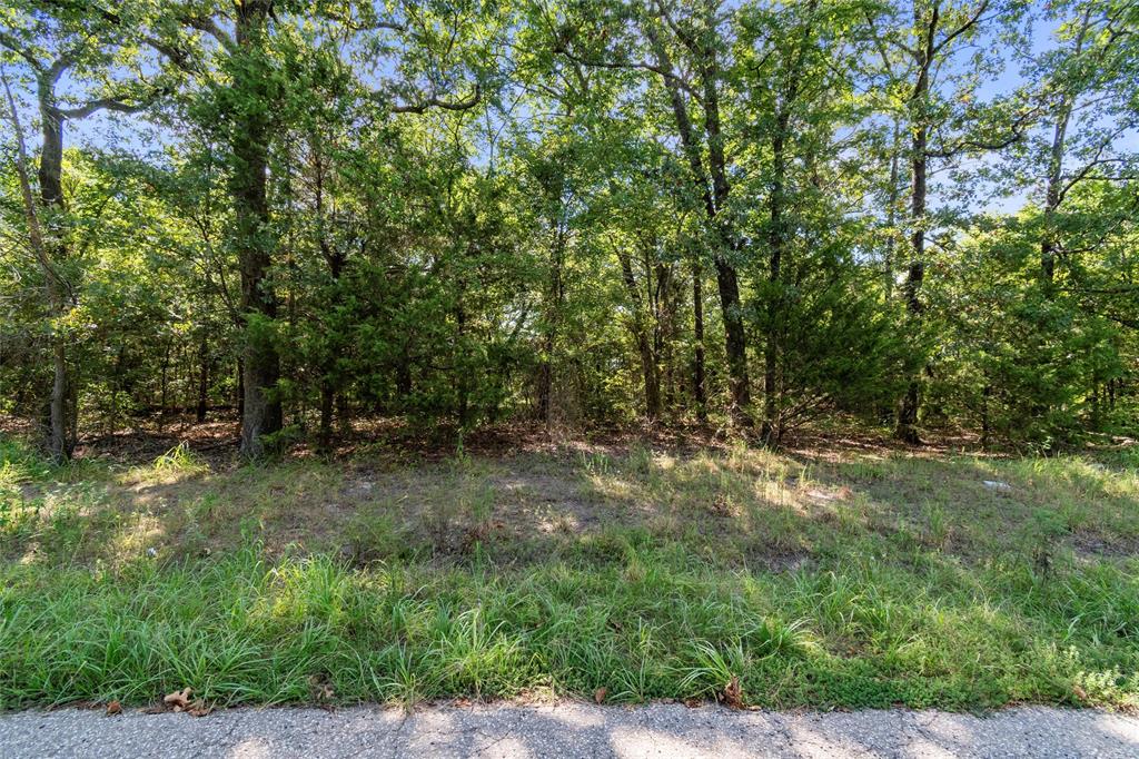 3333 County Road 3333 Emory, TX 75440 - Photo 8 of 22 a view of a forest with trees in the background