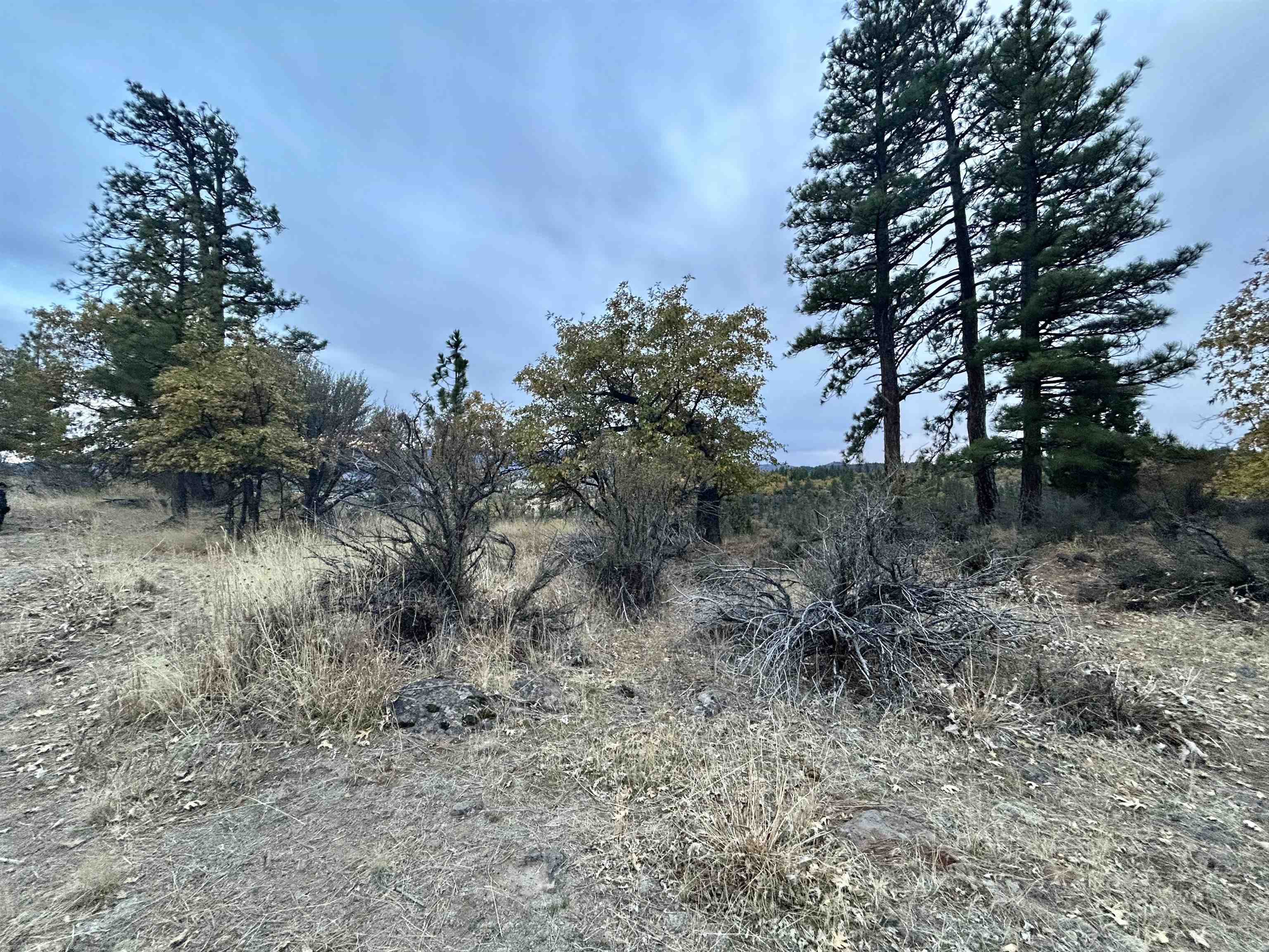 0 Inspiration Point Road Susanville, CA 96130 - Photo 6 of 9 Gallery Image 6