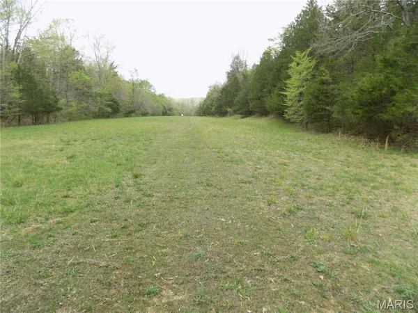 $985,000 | 1826 County Road 372, Annapolis, MO 63620
