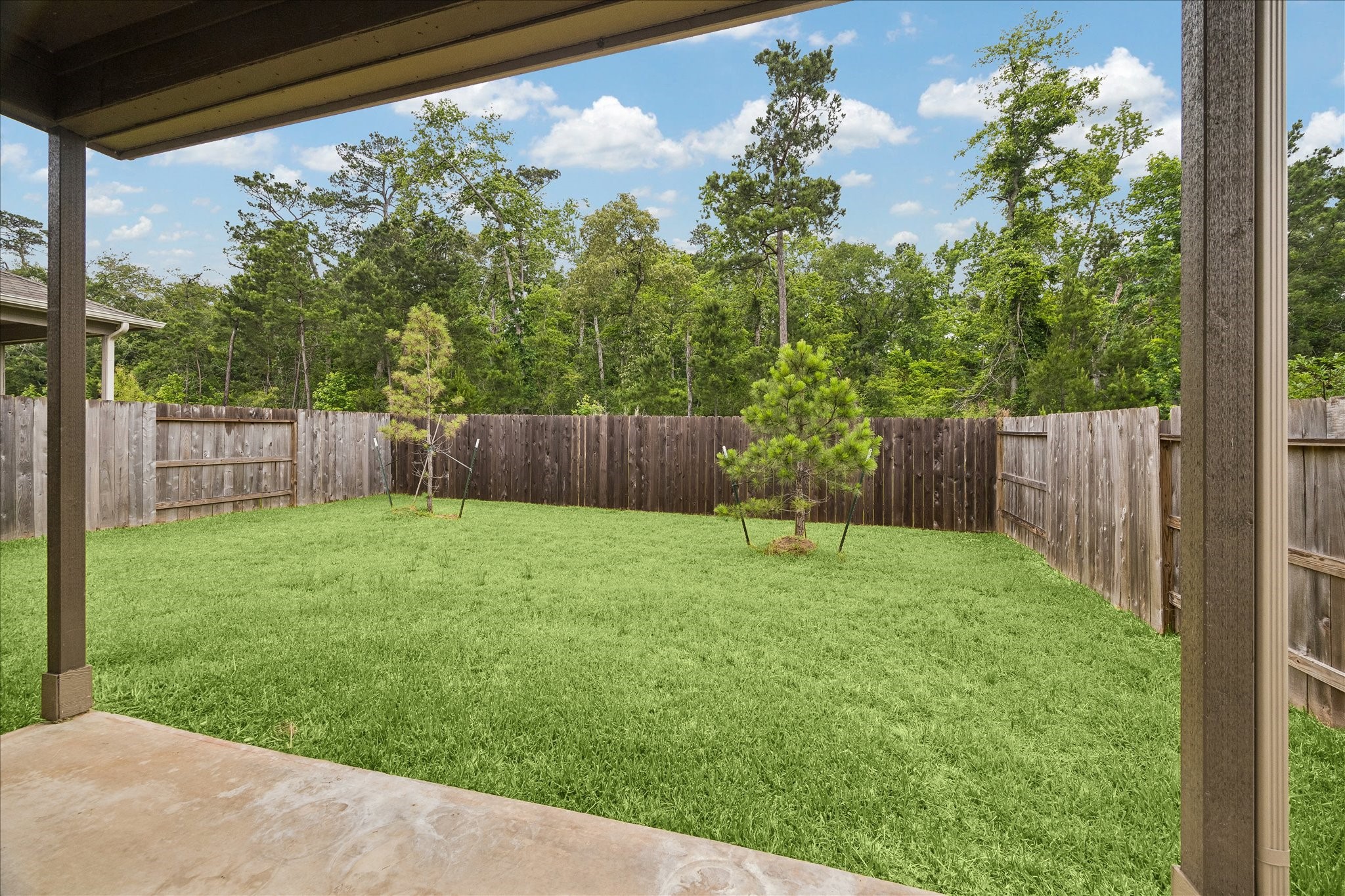 317 Maple Bark Trail Willis, TX 77378 - Photo 19 of 19