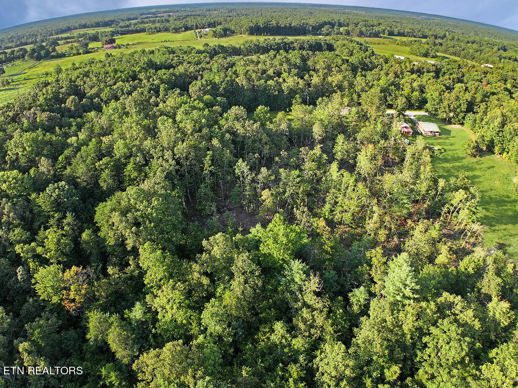 0 Susan Circle Deer Lodge, TN 37726 - Photo 8 of 14 07