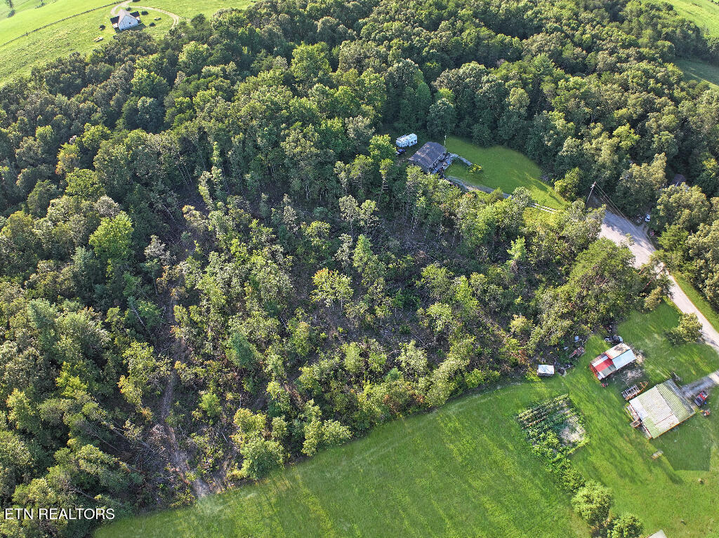 0 Susan Circle Deer Lodge, TN 37726 - Photo 9 of 14 08