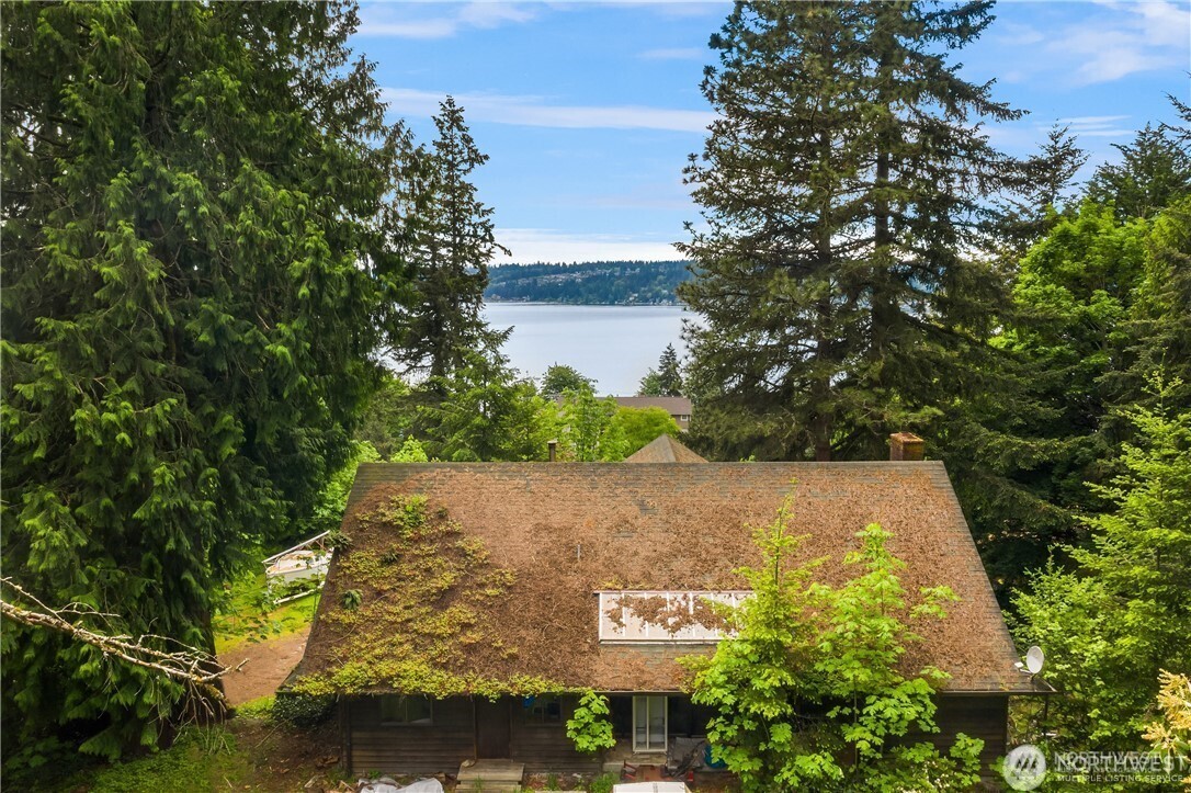 332 Louis Thompson Road Northeast Sammamish, WA 98074 - Photo 8 of 8 a view of a tree with a yard