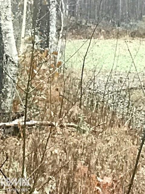 6899 Buck Run Spruce, MI 48762 - Photo 7 of 26